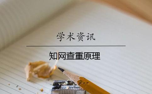 知網查重原理